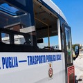 Bus notturni per litoranee, danneggiato un vetro. La denuncia del sindaco Cannito