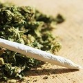 Cannabis per finalità terapeutiche, la Puglia dice  "sì "
