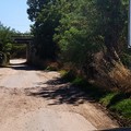 Canne della Battaglia tra pozzanghere, acqua e fango