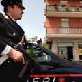 Puglia, controlli dei Carabinieri sulla sicurezza ambientale, sanitaria e tutela del lavoro