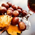 Castagne, Vino & Brasciole