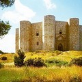 Sede legale, decisione giusta. Andria la meritava