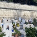 Capre al cimitero, il PD non ci sta: «Immagine indecorosa, si proceda alla manutenzione»