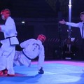 Taekwondo ITF: i club di sette nazioni in gara alla Barletta Challenge Cup