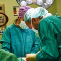 Donò un rene a suo genero 20 anni fa, oggi la consegna di una targa a Rosa Distaso