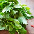 Minervino Green Festival, protagonista la cima di rapa