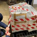Conclusa l'operazione Mercato Globale: sanzioni e sequestri di prodotti ittici