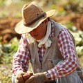 Lavori gravosi, pensione anticipata per pescatori e agricoltori