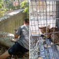 Ex distilleria, è ancora allarme: «Quei vasconi sono un pericolo per animali e cittadini»