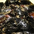 La Guardia di Finanza sequestra a Barletta 1.200 kg di cozze nere