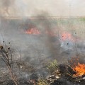 Crisi climatica a Barletta, Dicataldo: «Con una politica lungimirante sarà possibile cambiare rotta»