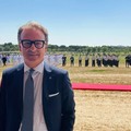 GDF, Damiani (FI): «Grazie a donne e uomini per il lavoro nel contrasto a illeciti finanziari»