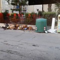 Campane del vetro, degrado e rifiuti in via Rionero
