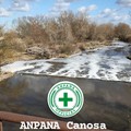 Disastro ambientale nel fiume Ofanto a Canosa: cosa sta succedendo