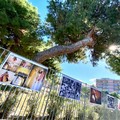 Disfida di Barletta e Fiof, un legame ribadito anche nel 2020
