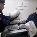 Droga in un deposito ittico, operazione del Commissariato di Barletta