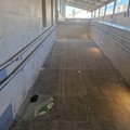 Incuria davanti ad accesso Bari Nord, lamentele di residenti e fruitori di Barletta