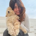 Stella Mele (FdI): «Cani in pericolo per i forasacchi, necessario un piano urgente di bonifica da parte di Bar.S.A.»