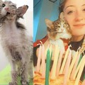 La storia di rinascita della gattina Lolli, una vittoria targata Enpa