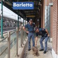 Salvata una cagnolina sui binari della stazione di Barletta