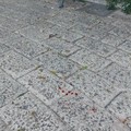 Rissa tra barlettani in piazza Plebiscito, la nota dell'Ambulatorio Popolare