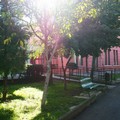 Giardini della scuola  "Musti ", uno scrigno verde da proteggere