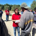 Caldo e operai agricoli a rischio, Flai Bat: «I sindaci che fanno?»