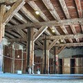 Nato in rifugio, la storia da non dimenticare