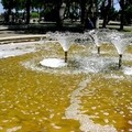Schiuma e acque gialle: le strane fontane di Barletta