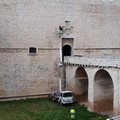 Rimossa parietaria dalle facciate del Castello di Barletta