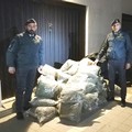 Sequestrati 110 kg di marijuana a Barletta, in arresto un corriere
