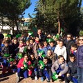 Giornata nazionale degli alberi, a scuola i  "nativi ambientali” per proteggere il verde pubblico