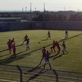 Barletta Calcio, prima vittoria interna per la  "Berretti "