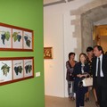 Le opere di De Stefano in mostra al Castello di Barletta