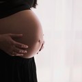 Preservare la fertilità: anche nella Asl BT al via le domande per il social freezing