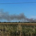 Incendio estivo alle porte di Barletta, il fumo invade la periferia