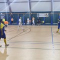 Futsal Barletta, in trasferta contro il Futsal Club Bitonto