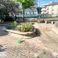 Green Park, avviati i lavori di pulizia e disinfestazione