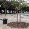 Giardini “De Nittis”, nuova linfa al verde cittadino