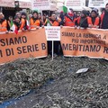 Crisi olivicoltura, i gilet arancioni incontrano Di Maio il 1° aprile