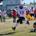 Football americano, Goblins Lanciano-Mad Bulls Barletta 0-12: i commenti