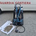 Sequestrato il prodotto ittico pescato da un pescatore sportivo