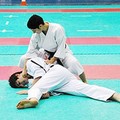 Karate, la scuola canosina funziona: un argento e un bronzo nel medagliere