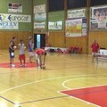 Basket, la Cestistica Barletta riparte dalla linea verde	