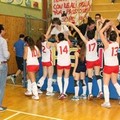 ASD Volley Barletta, ricomincio da tre