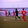 Barletta Calcio, il programma del settore giovanile