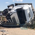 Camion si ribalta in strada, grave incidente tra Barletta e Trani