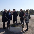 Pulizia e sicurezza strade extraurbane, un accordo tra Anas e Comune di Barletta