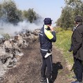 Esposto alla Procura per i roghi nelle campagne di Barletta