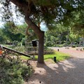 Conseguenze del maltempo, chiusi i giardini del castello di Barletta